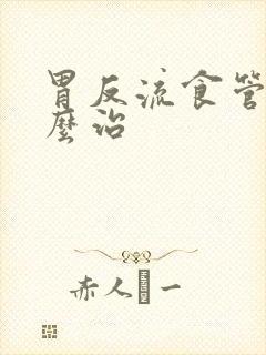 胃反流食管炎怎么治