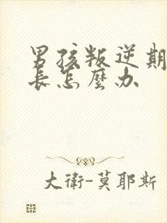 男孩叛逆期时家长怎么办