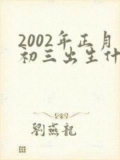 2002年正月初三出生什么命