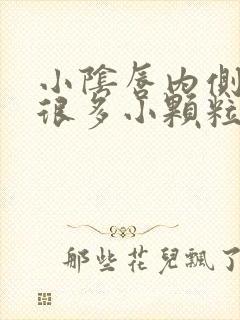 小阴唇内侧长了很多小颗粒不痒封面