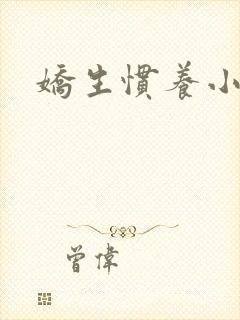 娇生惯养小说封面