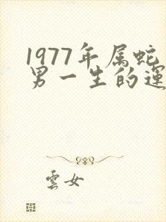 1977年属蛇男一生的运势如何