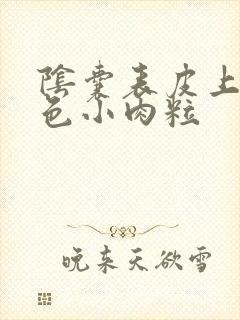 阴囊表皮上有白色小肉粒