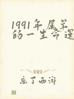 1991年属羊的一生命运如何