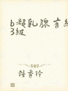 b超乳腺有结节3级