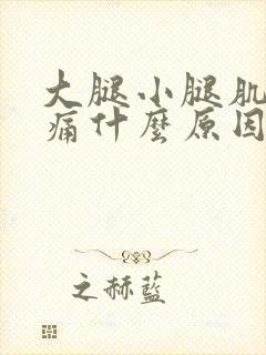 大腿小腿肌肉酸痛什么原因引起的