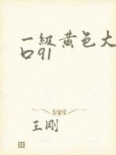 一级黄色大片入口91
