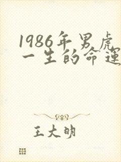 1986年男虎一生的命运封面