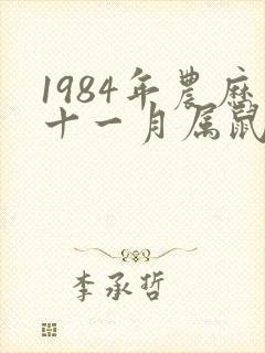 1984年农历十一月属鼠女命运