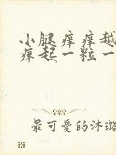 小腿痒痒越抓越痒起一粒一粒的怎么回事