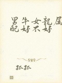 男牛女龙属相婚配好不好