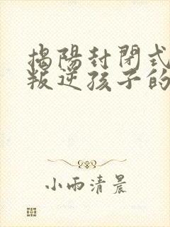 揭阳封闭式管理叛逆孩子的学校有哪些