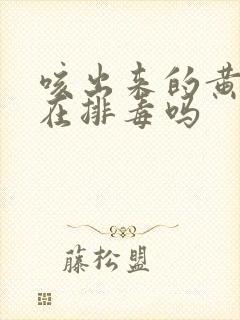 咳出来的黄痰是在排毒吗