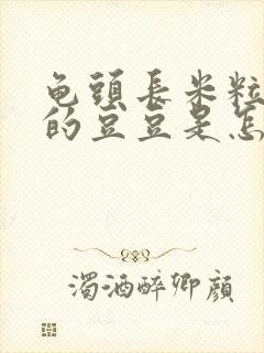 龟头长米粒大小的豆豆是怎么回事封面