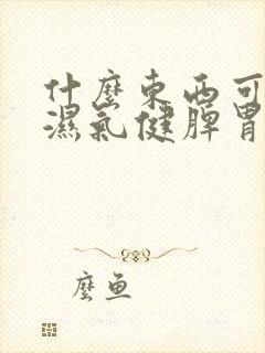 什么东西可以去湿气健脾胃