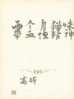 两个月猫咪拉稀带血但精神很好