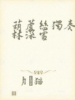 葫芦丝独奏曲竹林深处封面