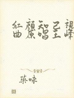 红颜知己视频歌曲原唱王峰安静