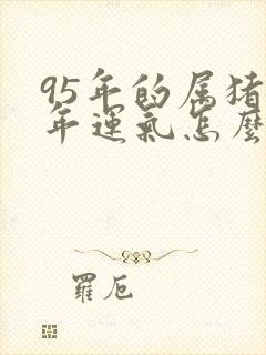 95年的属猪今年运气怎么样