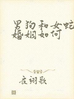 男狗和女蛇相配婚姻如何