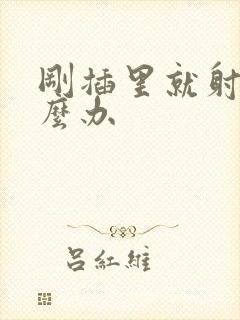 刚插里就射精怎么办