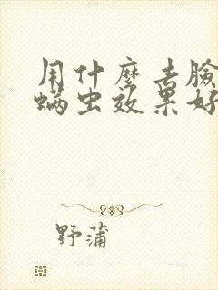 用什么去脸上的螨虫效果好封面