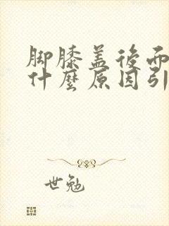 脚膝盖后面疼是什么原因引起的封面