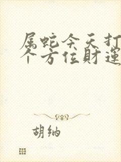 属蛇今天打牌哪个方位财运好呢?