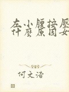 左小腹按压疼痛什么原因女性