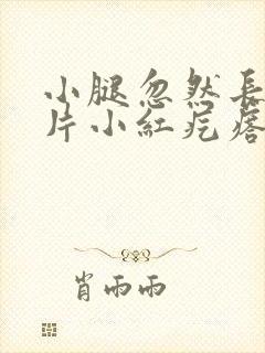 小腿忽然长了一片小红疙瘩