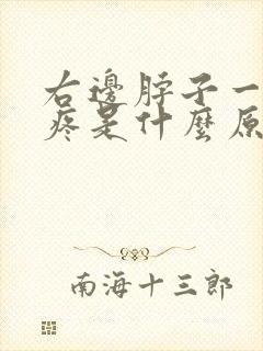 右边脖子一根筋疼是什么原因封面