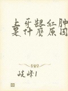 上牙龈红肿出血是什么原因