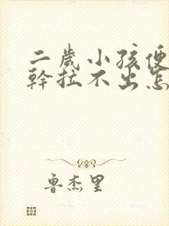 二岁小孩便秘屎干拉不出怎么办封面