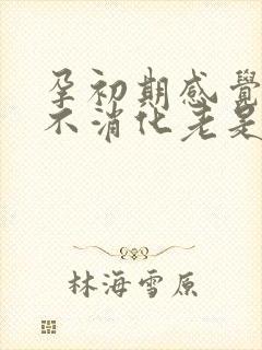 孕初期感觉胃里不消化老是想吐