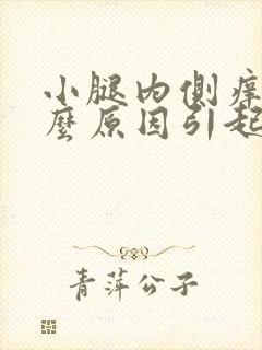 小腿内侧痒是什么原因引起的