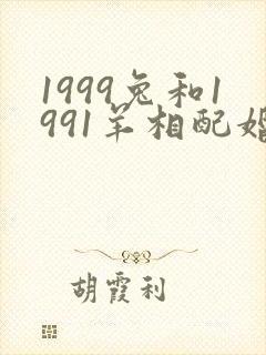 1999兔和1991羊相配婚姻如何封面