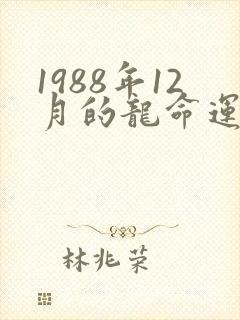 1988年12月的龙命运如何