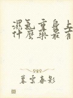 湿气重身上痒吃什么药最有效