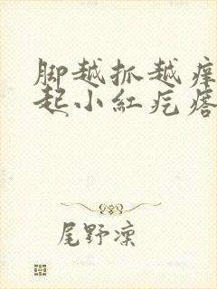 脚越抓越痒然后起小红疙瘩