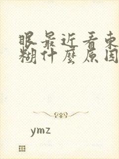 眼最近看东西模糊什么原因