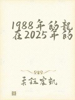 1988年的龙在2025年的运势怎么样