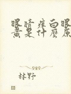 眼睛痒白眼球发黄是什么原因