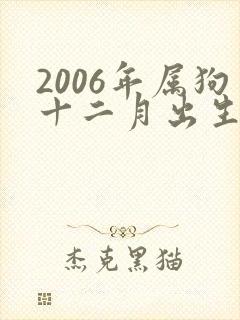 2006年属狗十二月出生命运