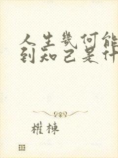 人生几何能够得到知己是什么歌词