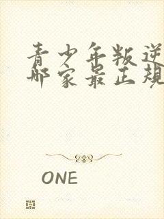 青少年叛逆学校哪家最正规封面