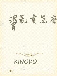 湿气重怎么调脾胃