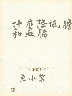 什么降低胆固醇和血脂