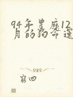 94年农历12月的狗命运如何