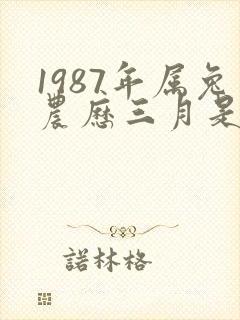 1987年属兔农历三月是什么命