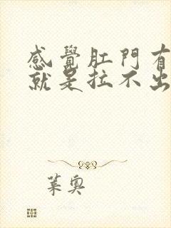 感觉肛门有大便就是拉不出来怎么办